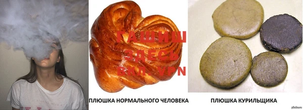 гидра Нея