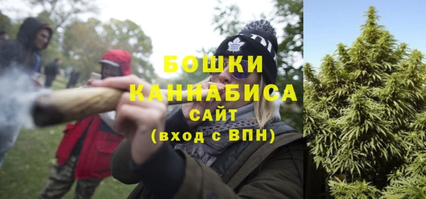 гидра Нея