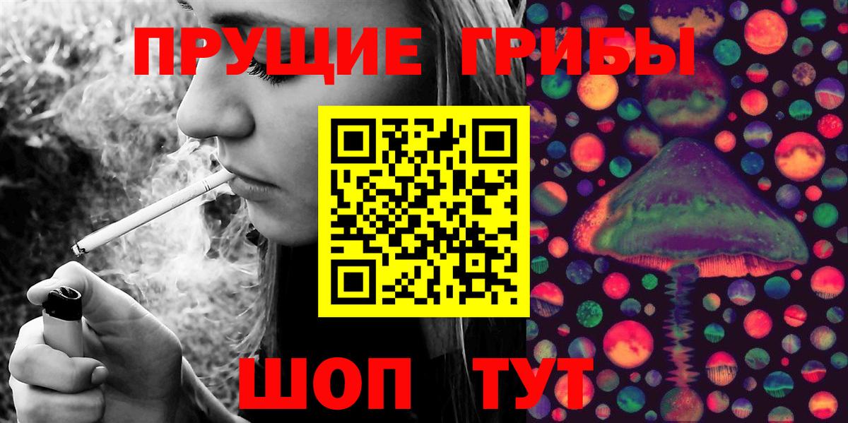 Асино  Галлюциногенные грибы Psilocybe  Вход с VPN 
